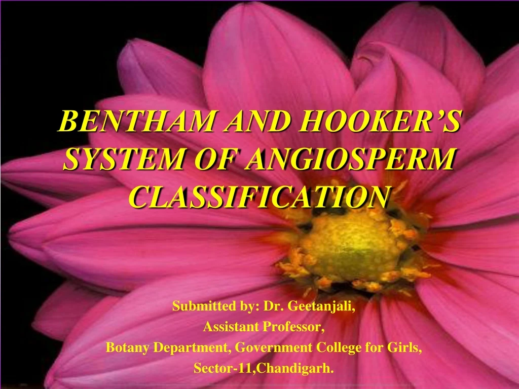 bentham and hooker s system of angiosperm classification
