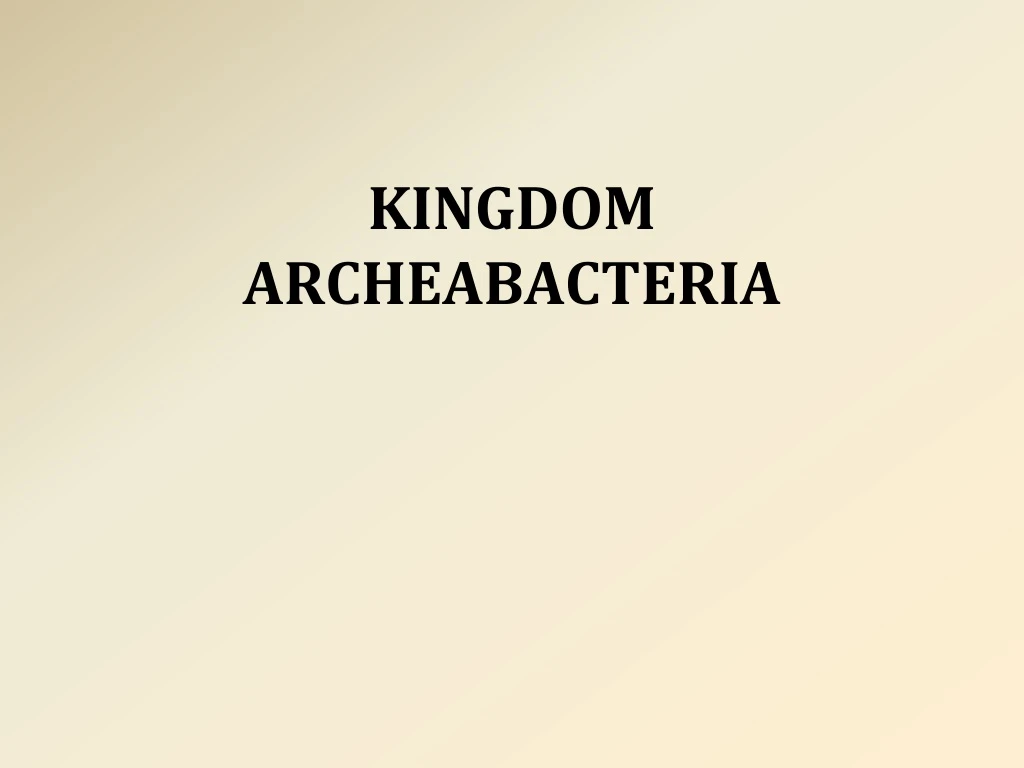 kingdom archeabacteria