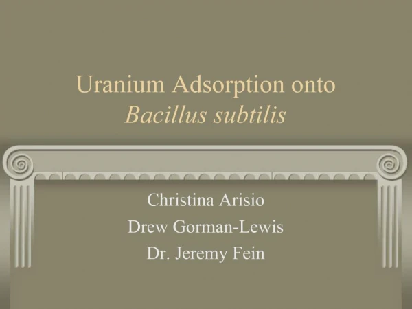 Uranium Adsorption onto Bacillus subtilis