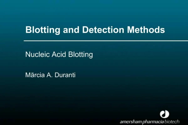 Blotting and Detection Methods