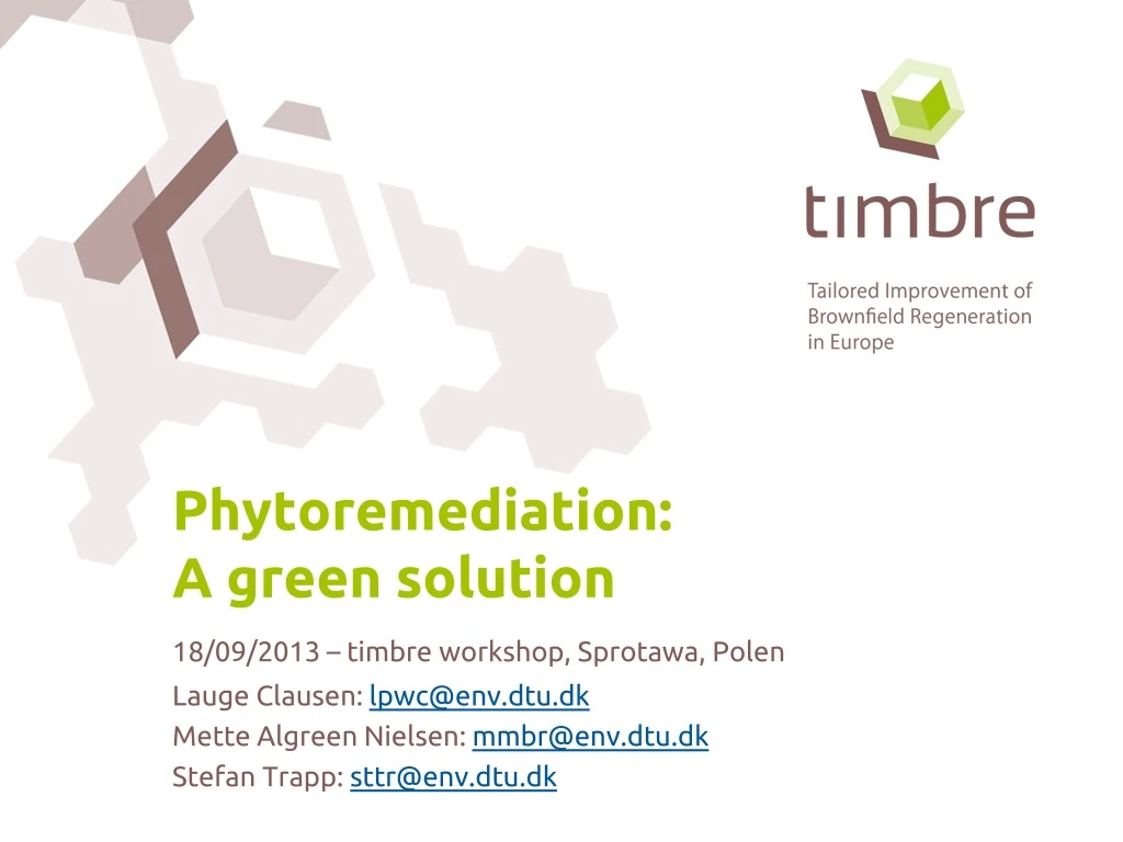 phytoremediation a green solution