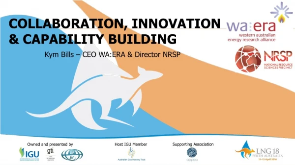 COLLABORATION , INNOVATION &amp; CAPABILITY BUILDING