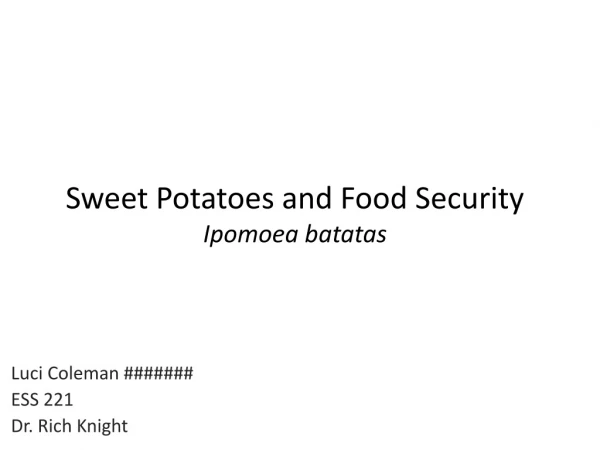 Sweet Potatoes and Food Security Ipomoea batatas