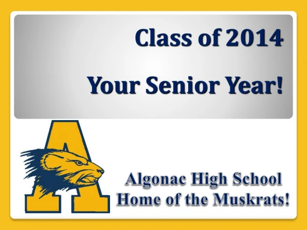 Class of 2014 Your Senior Year!
