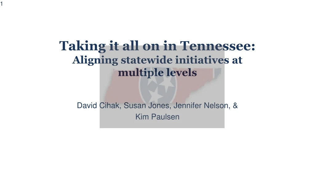 taking it all on in tennessee aligning statewide initiatives at multiple levels