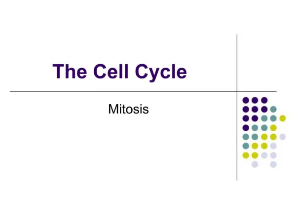 The Cell Cycle