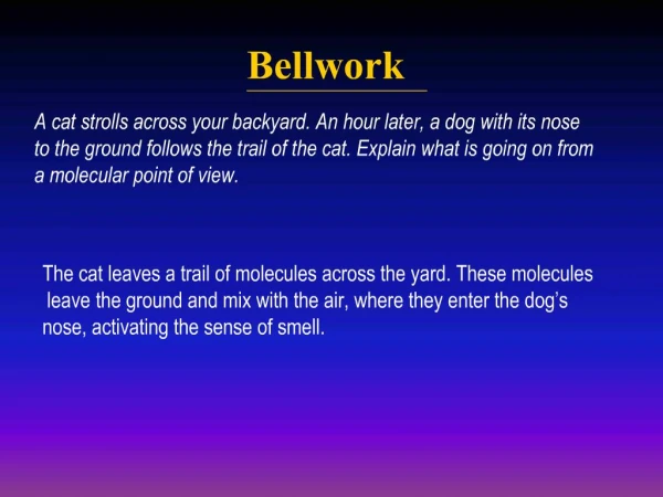 A cat strolls across your backyard. An hour later, a dog with its nose to the ground follows the trail of the cat. Expla