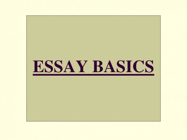 ESSAY BASICS