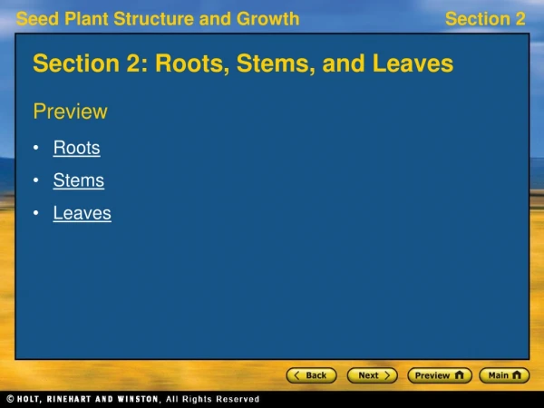 Section 2: Roots, Stems, and Leaves