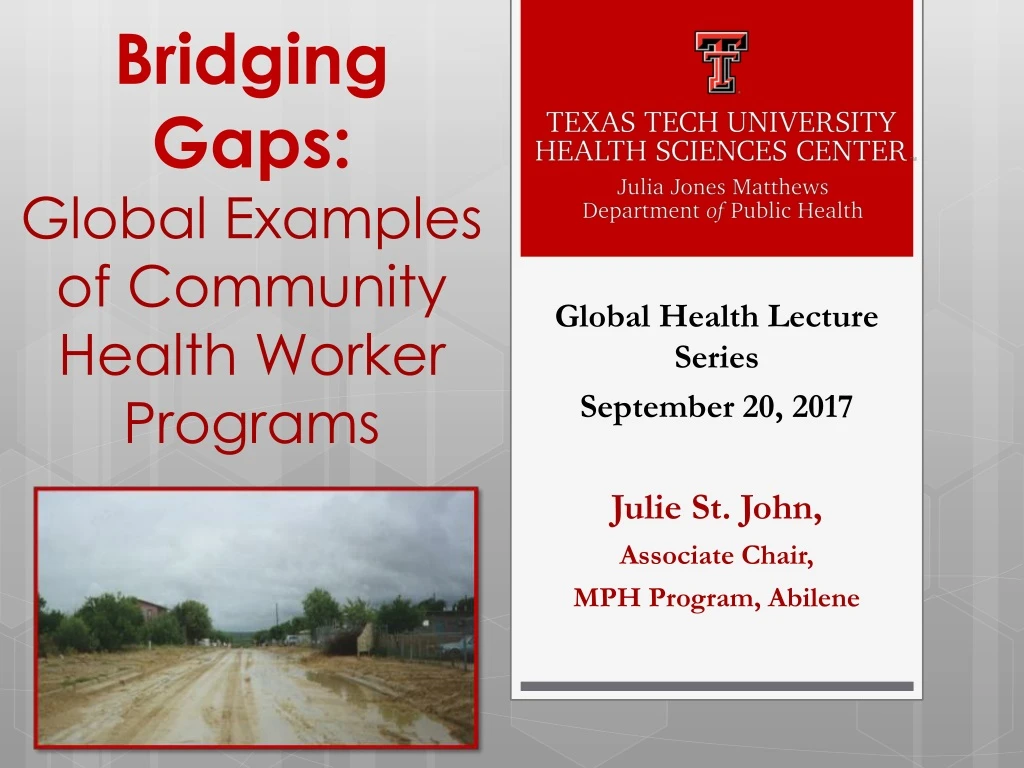 bridging gaps global examples of community health worker programs