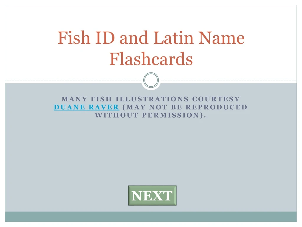 fish id and latin name flashcards