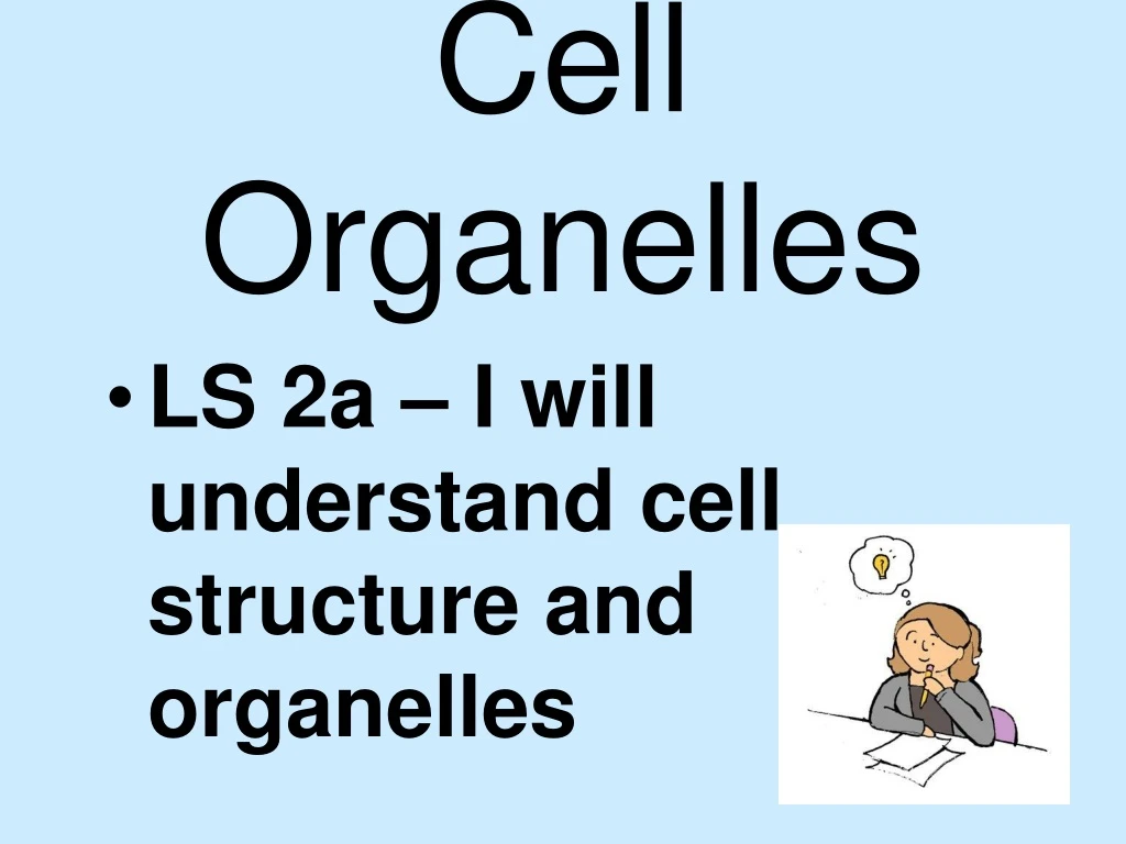 cell organelles