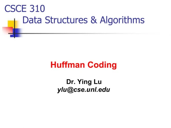 CSCE 310 Data Structures Algorithms