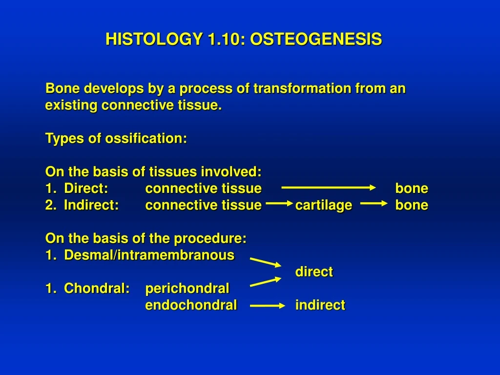 histology 1 10 osteogenesis