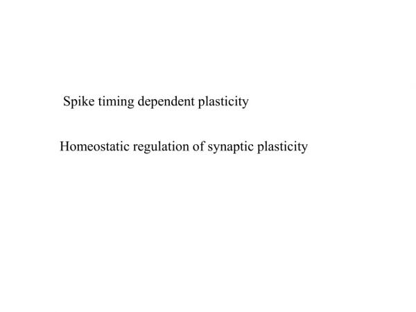 Spike timing dependent plasticity
