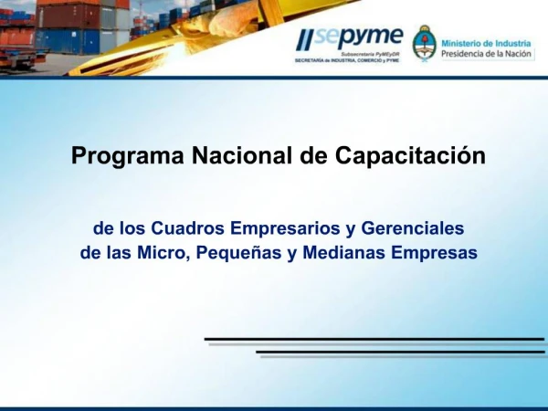 Programa Nacional de Capacitaci n de los Cuadros Empresarios y Gerenciales de las Micro, Peque as y Medianas Empresa