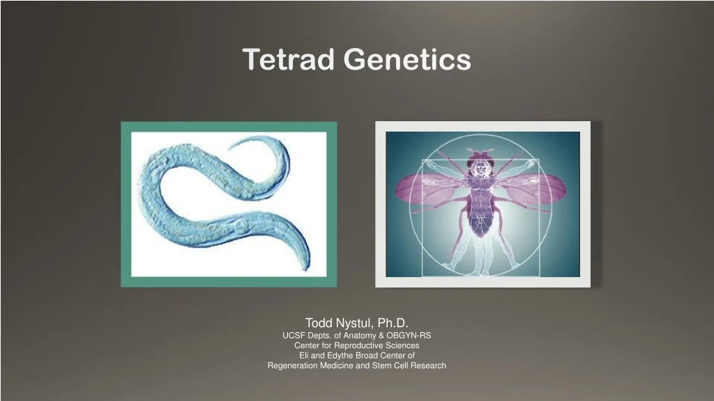tetrad genetics