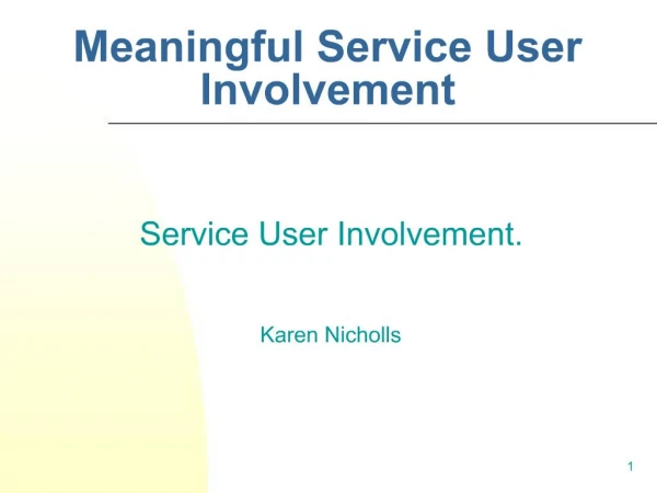 Meaningful Service User Involvement