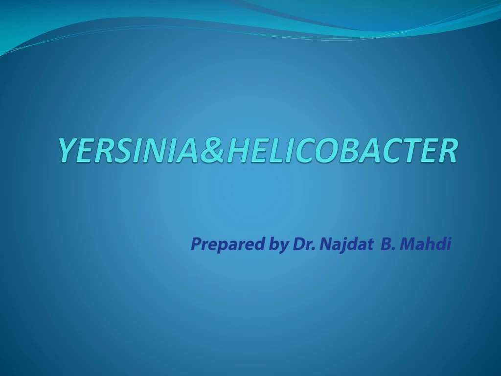 yersinia helicobacter