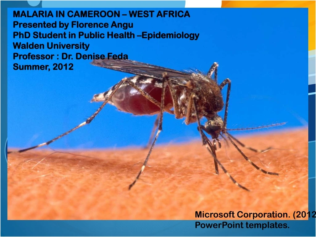 malaria in cameroon west africa presented