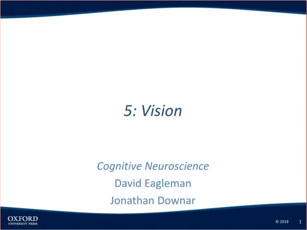 5: Vision