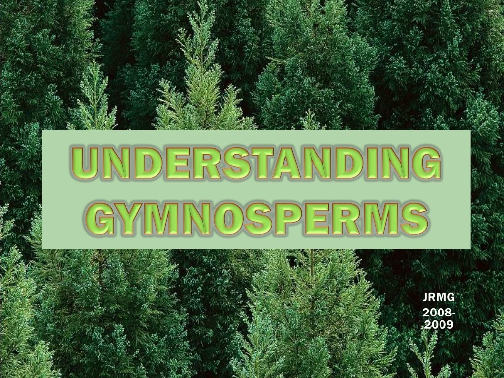 understanding gymnosperms