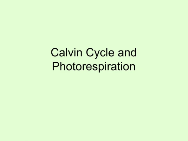 Calvin Cycle and Photorespiration