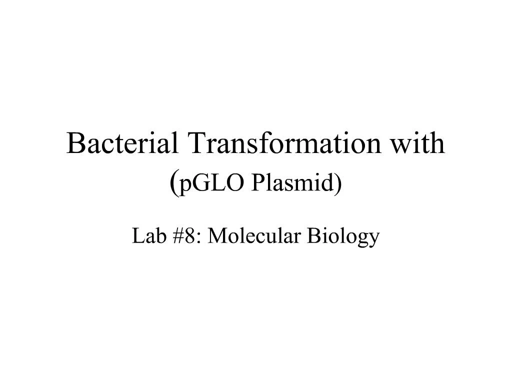 PPT - Bacterial Transformation With PGLO Plasmid PowerPoint ...