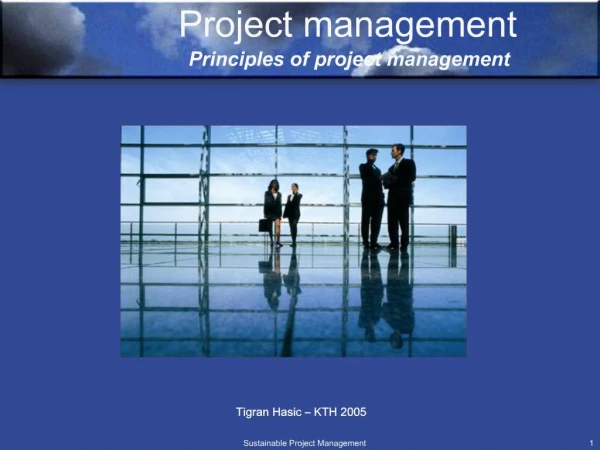Project management Principles of project management