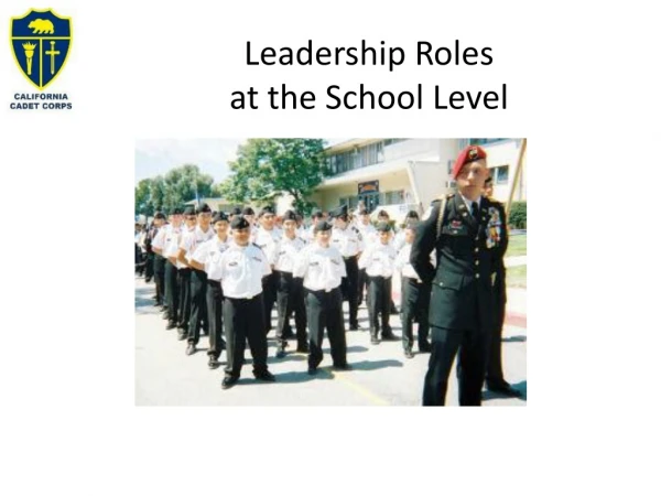 Leadership Roles at the School Level