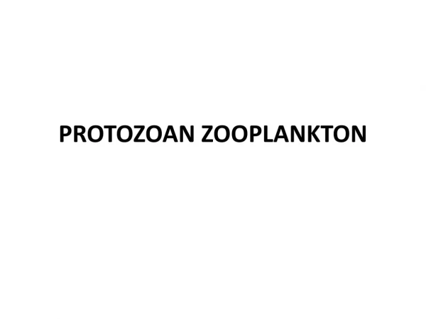 PROTOZOAN ZOOPLANKTON