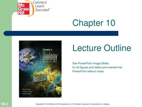 Chapter 10 Lecture Outline See PowerPoint Image Slides