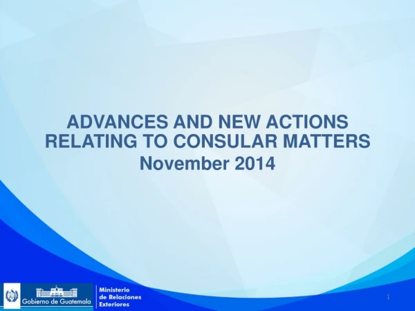 ADVANCES AND NEW ACTIONS RELATING TO CONSULAR MATTERS November 2014