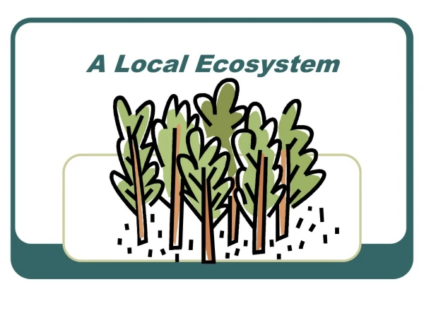 A Local Ecosystem
