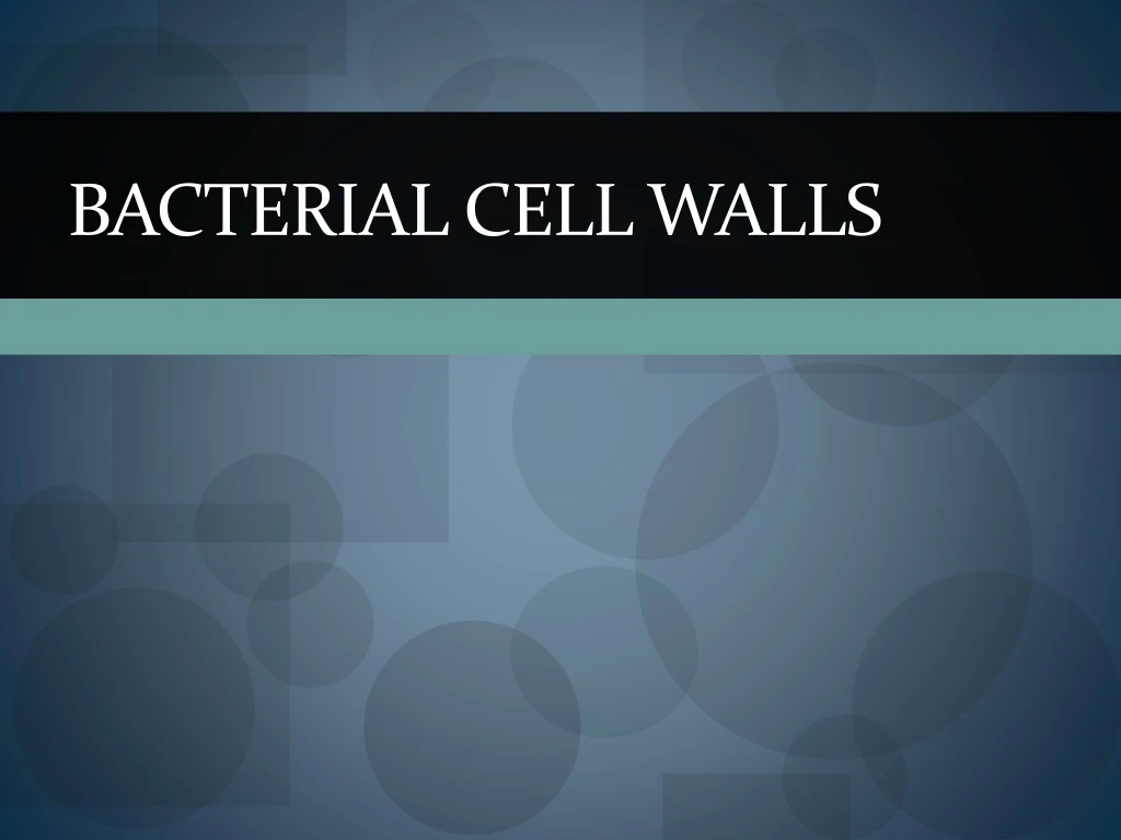 bacterial cell walls