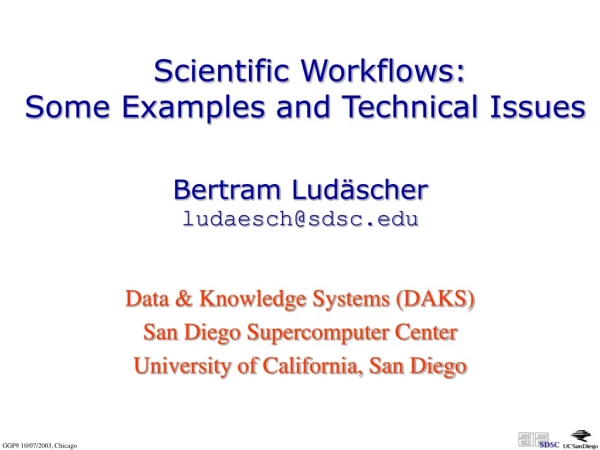 Scientific Workflows: Some Examples and Technical Issues