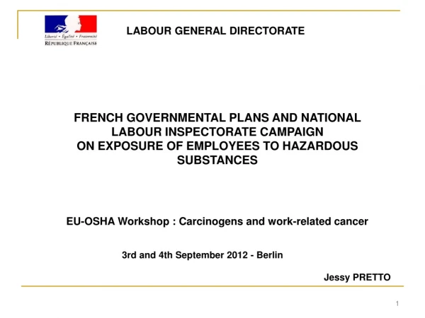 FRENCH GOVERNMENTAL PLANS AND NATIONAL LABOUR INSPECTORATE CAMPAIGN