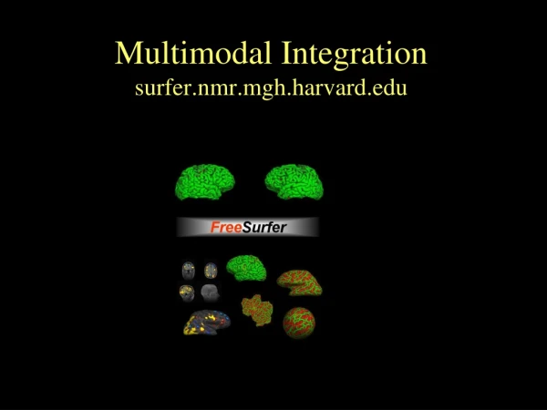 Multimodal Integration surfer.nmr.mgh.harvard