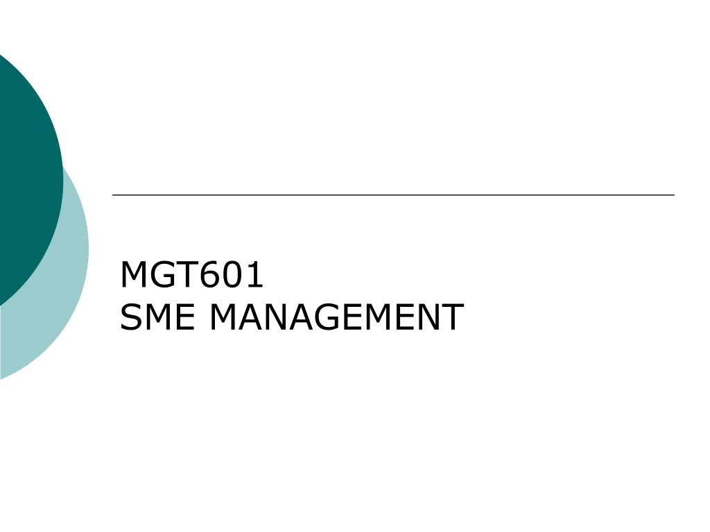 mgt601 sme management