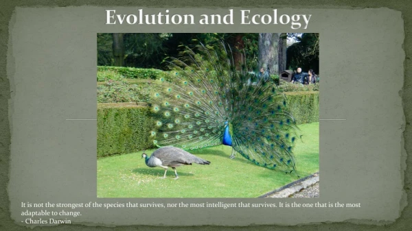 Evolution and Ecology