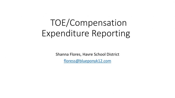 TOE/Compensation Expenditure Reporting