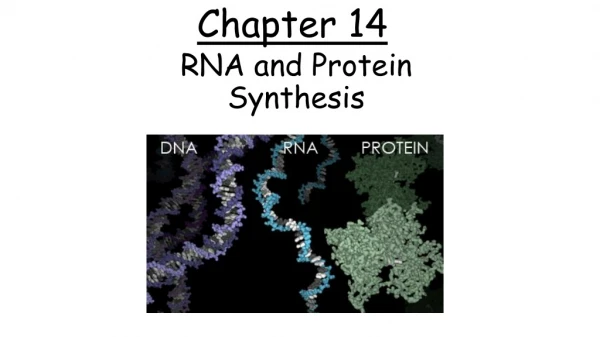 chapter 14