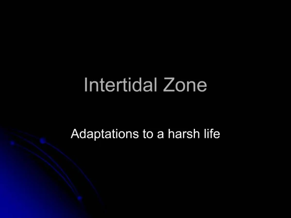 Intertidal Zone