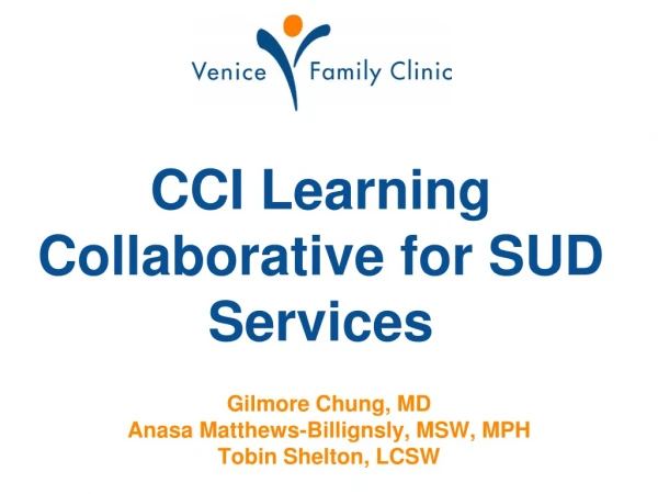 CCI Learning Collaborative for SUD Services