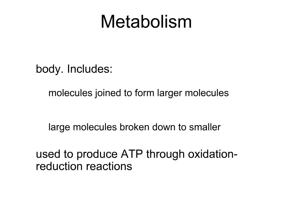 PPT - Metabolism PowerPoint Presentation, free download - ID:397844