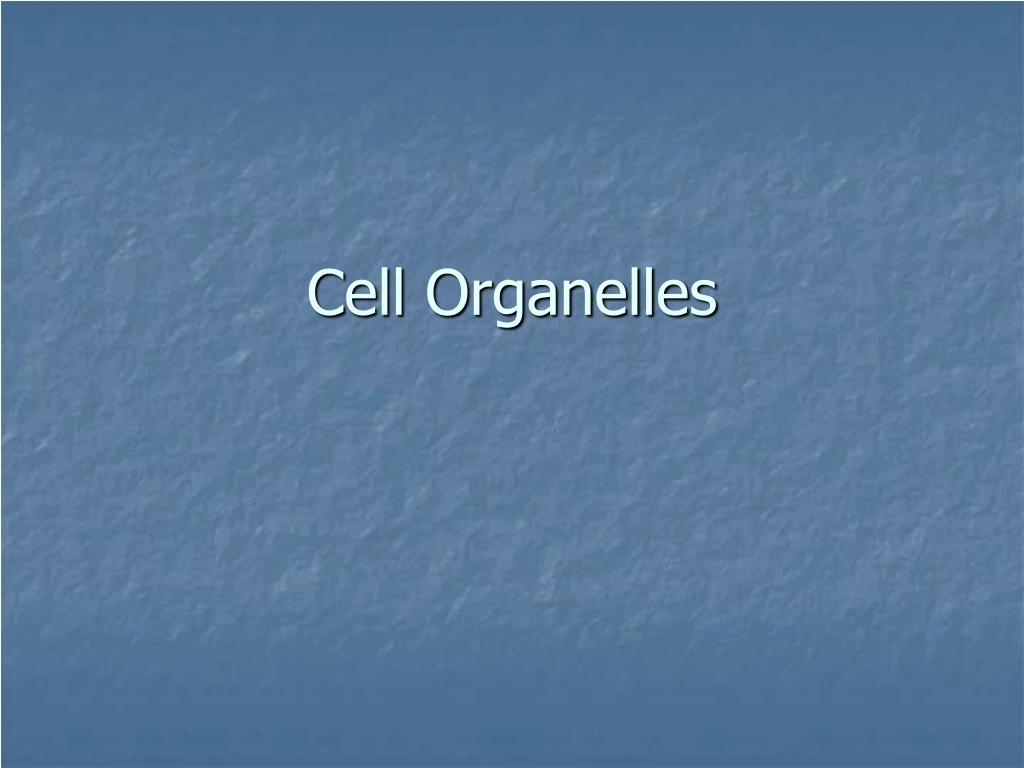 cell organelles