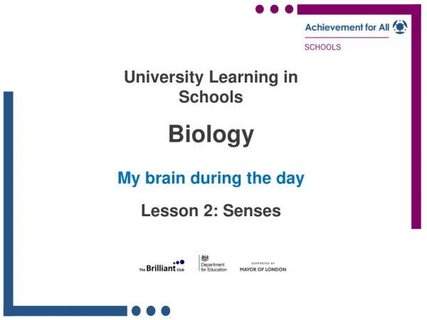 University Learning in Schools Biology My brain during the day Lesson 2: Senses