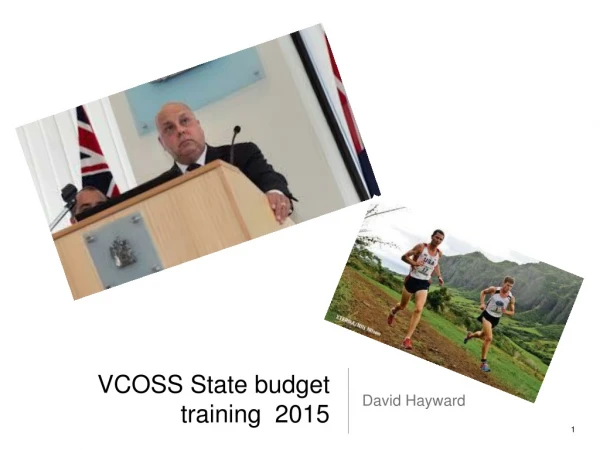 VCOSS State budget training 2015