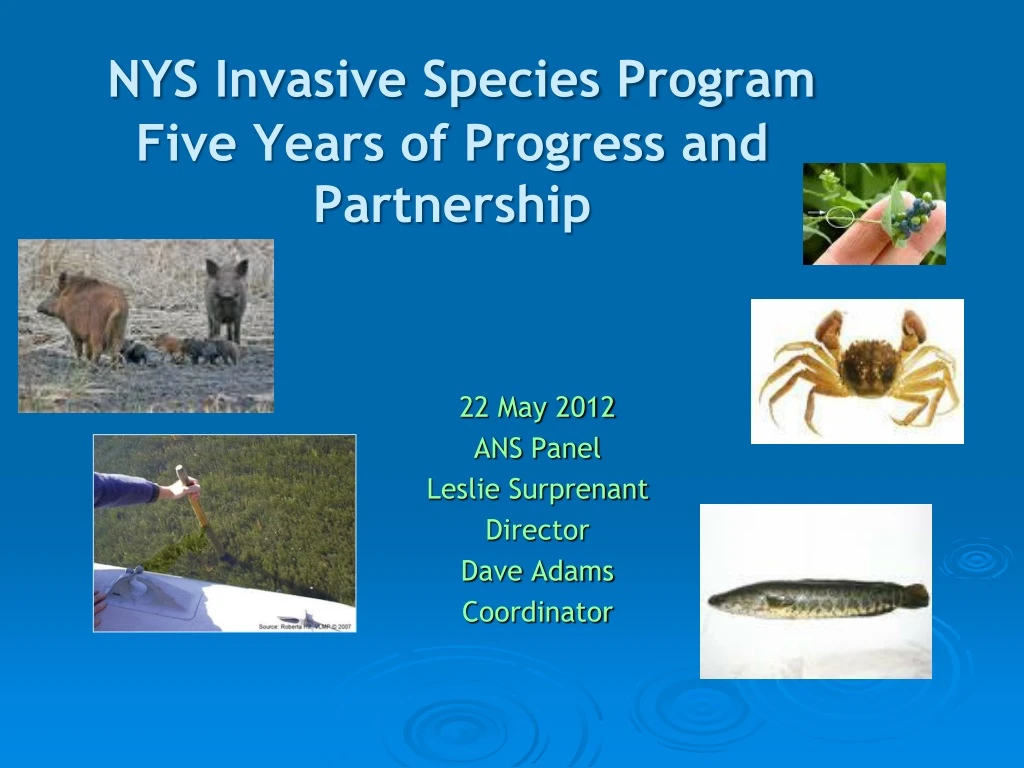 nys invasive species program five years of progress and partnership