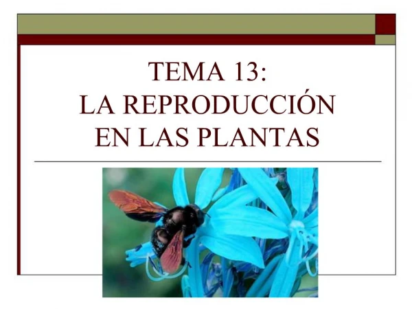 TEMA 13: LA REPRODUCCI N EN LAS PLANTAS